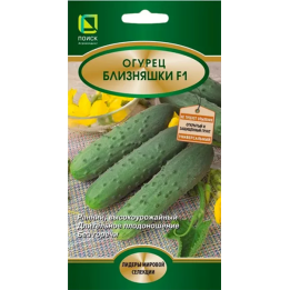 БЛИЗНЯШКИ