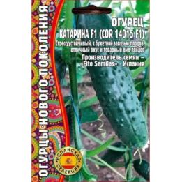 КАТАРИНА