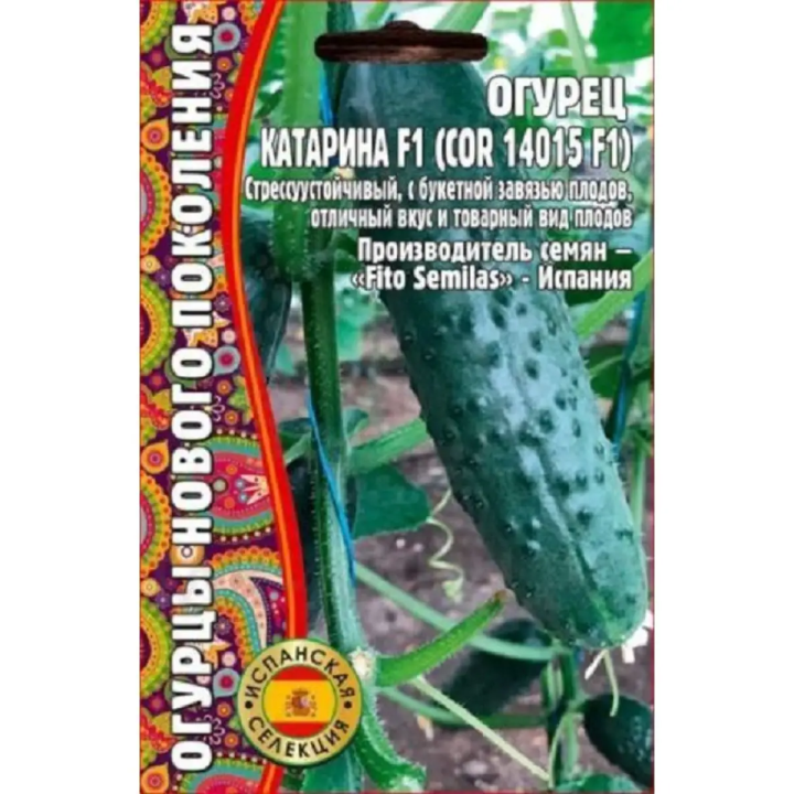 КАТАРИНА