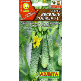 ВЕСЕЛЫЙ РОДЖЕР