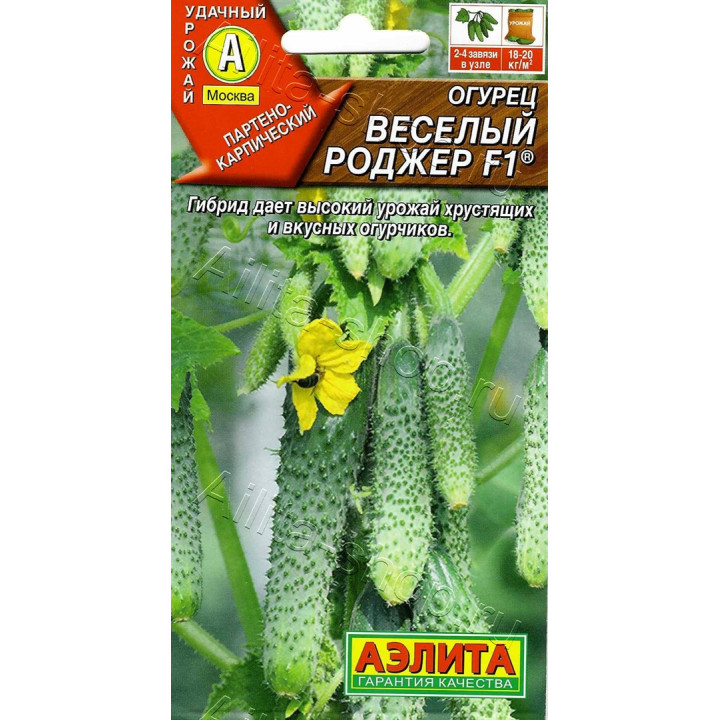 ВЕСЕЛЫЙ РОДЖЕР