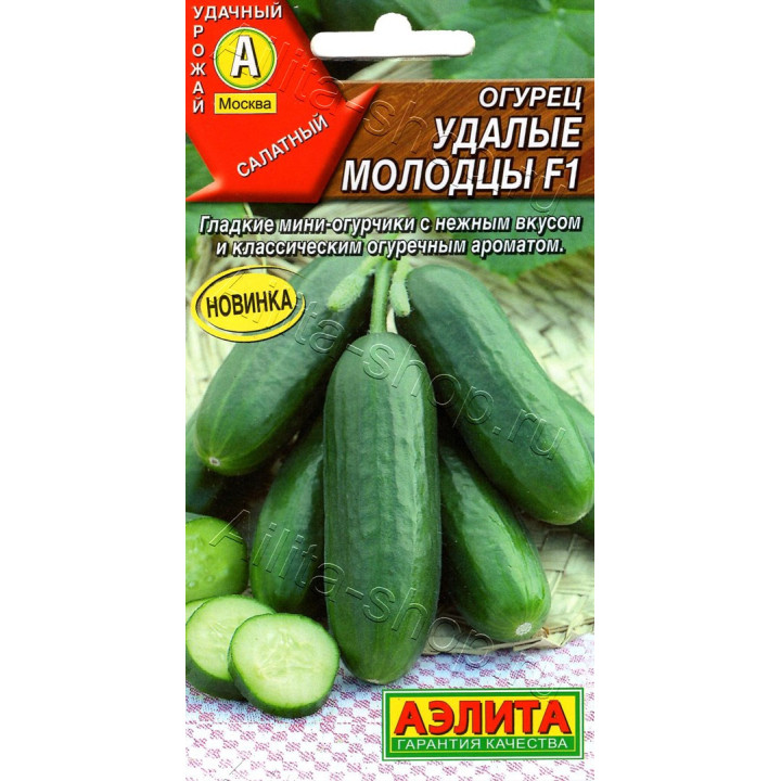 УДАЛЫЕ МОЛОДЦЫ