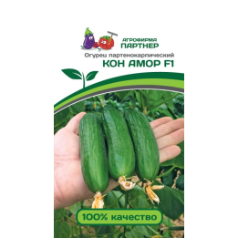 КОН АМОР