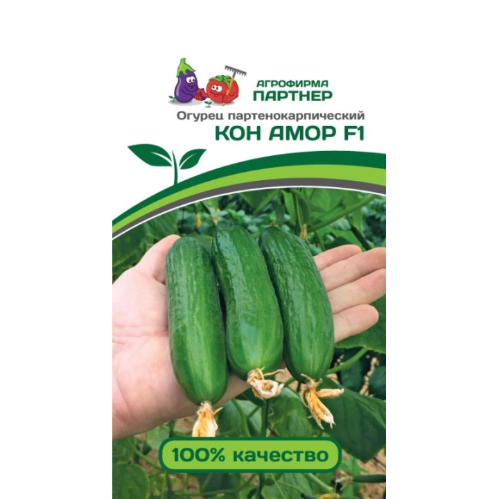 КОН АМОР