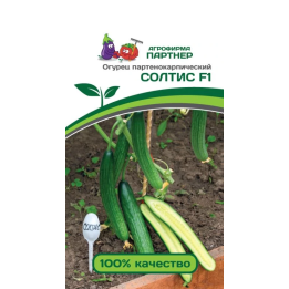 СОЛТИС
