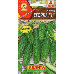 ЕГОРЫЧ