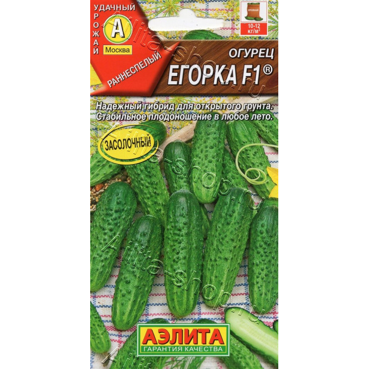 ЕГОРЫЧ