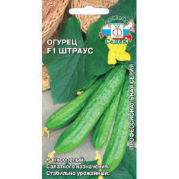 ШТРАУС