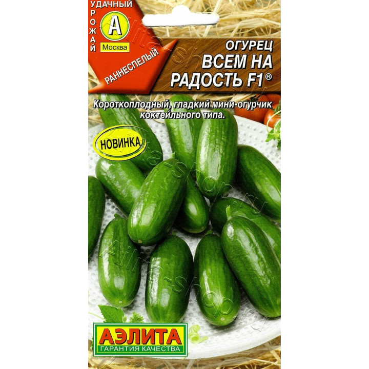 ВСЕМ НА РАДОСТЬ