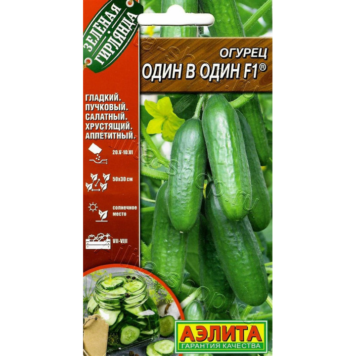 ОДИН В ОДИН