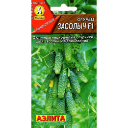 ЗАСОЛЫЧ