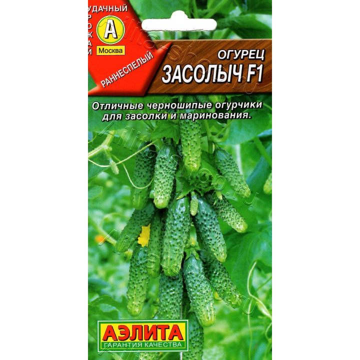 ЗАСОЛЫЧ