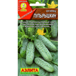 ПУПЫРЫШКИН