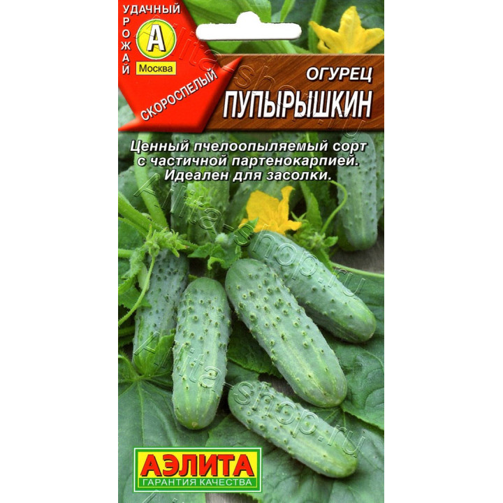 ПУПЫРЫШКИН