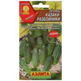 КАЗАКИ-РАЗБОЙНИКИ