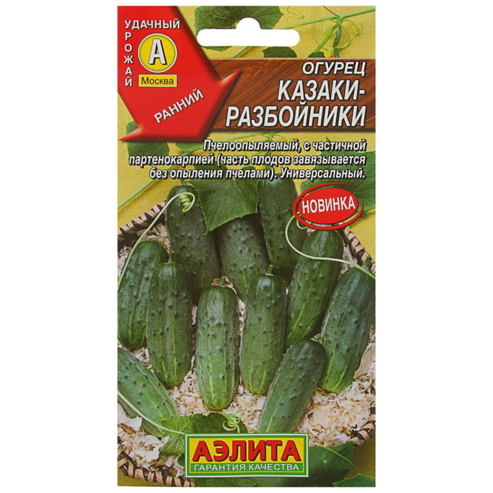 КАЗАКИ-РАЗБОЙНИКИ