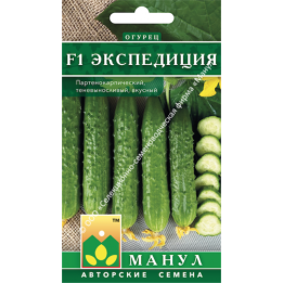 ЭКСПЕДИЦИЯ