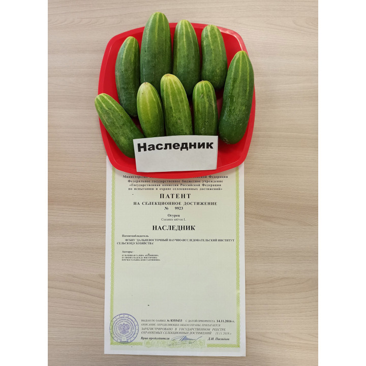 НАСЛЕДНИК