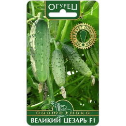 ЦЕЗАРЬ