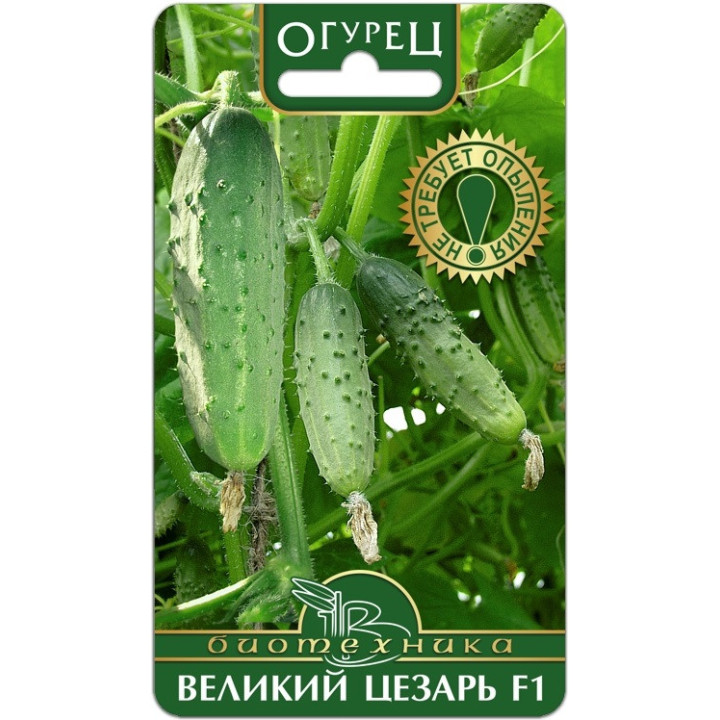 ЦЕЗАРЬ