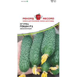 ПЭШН