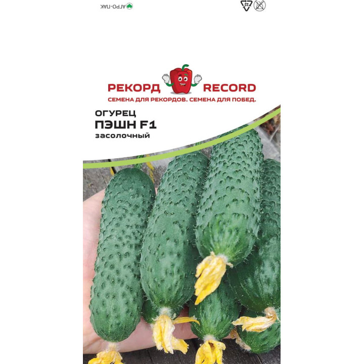 ПЭШН