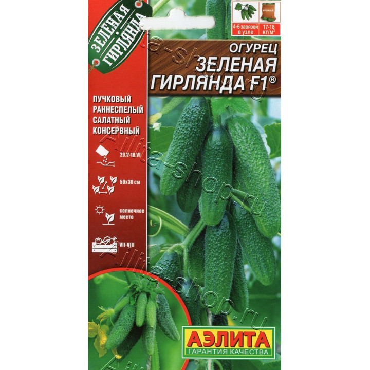 ЗЕЛЕНАЯ ГИРЛЯНДА