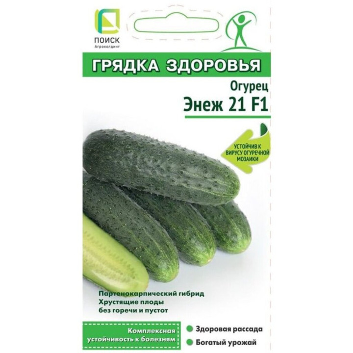 ЭНЕЖ 21