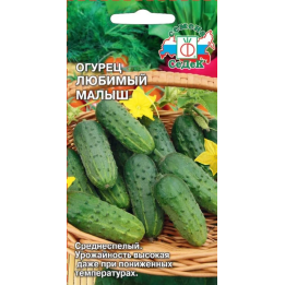 ЛЮБИМЫЙ МАЛЫШ