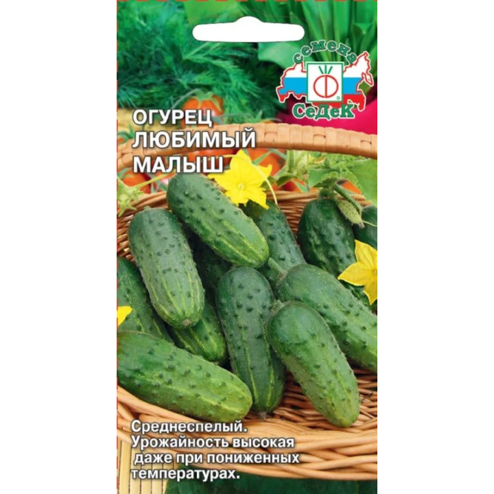 ЛЮБИМЫЙ МАЛЫШ