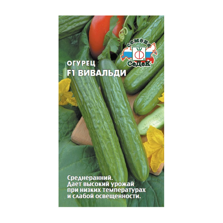 ВИВАЛЬДИ