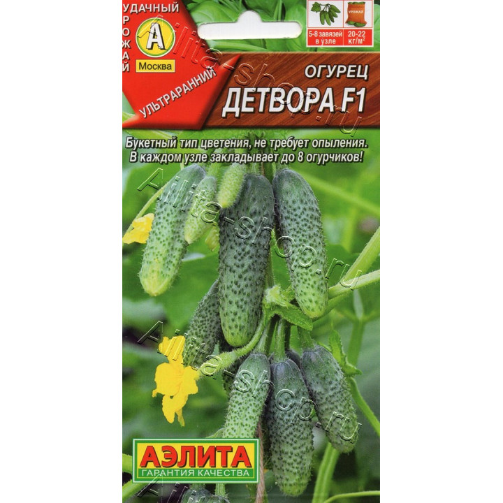 ДЕТВОРА