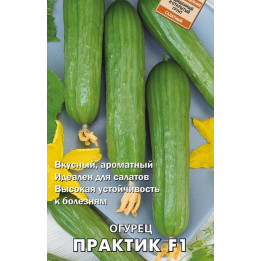 ПРАКТИК