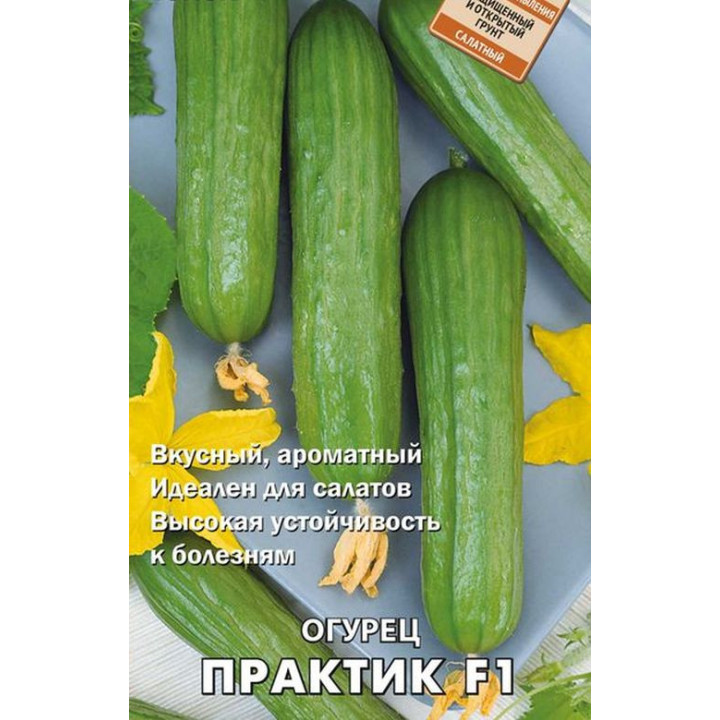 ПРАКТИК