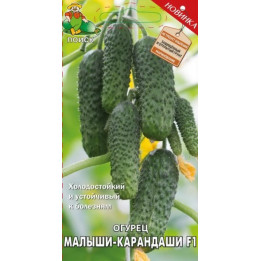 МАЛЫШИ-КАРАНДАШИ