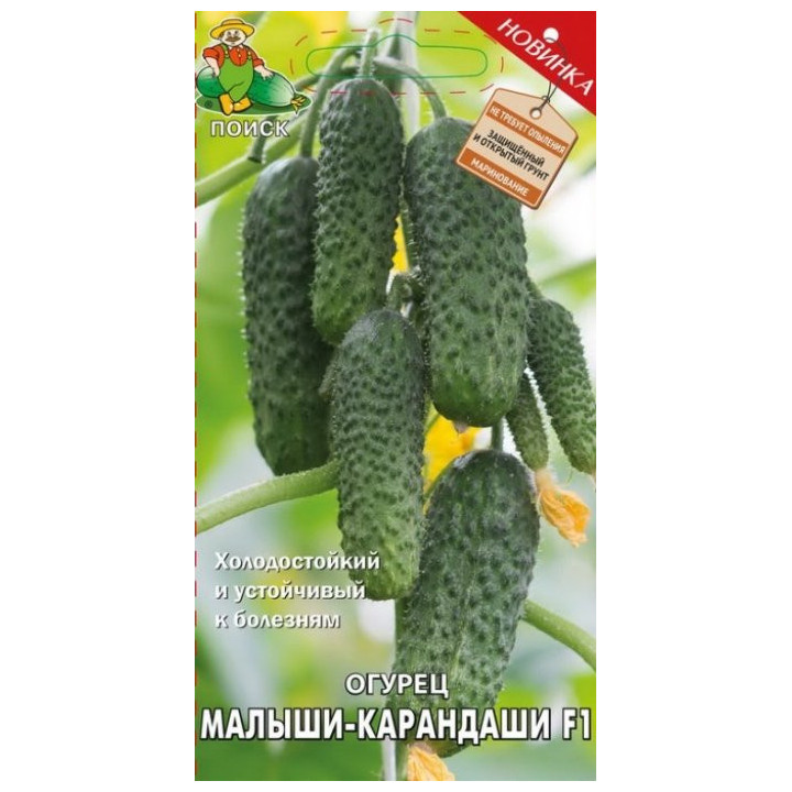 МАЛЫШИ-КАРАНДАШИ