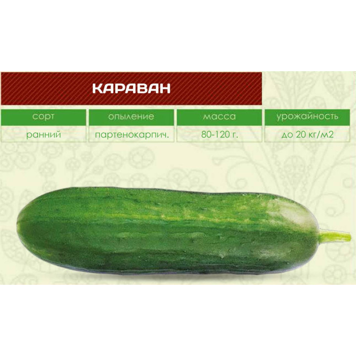 КАРАВАН
