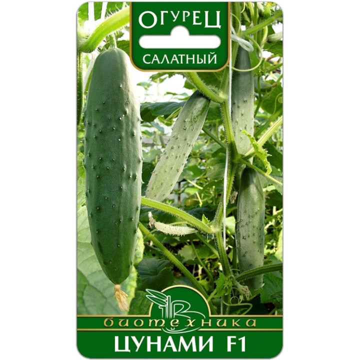 ЦУНАМИ