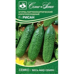 РИСАН