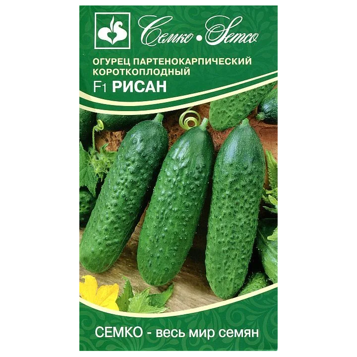 РИСАН