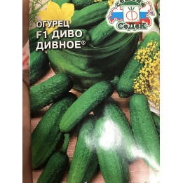 ЮЖНАЯ ДИВА