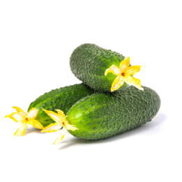 КАНЦЛЕР