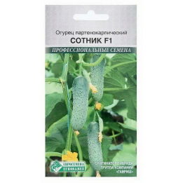 СОТНИК