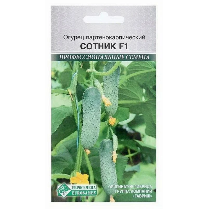 СОТНИК