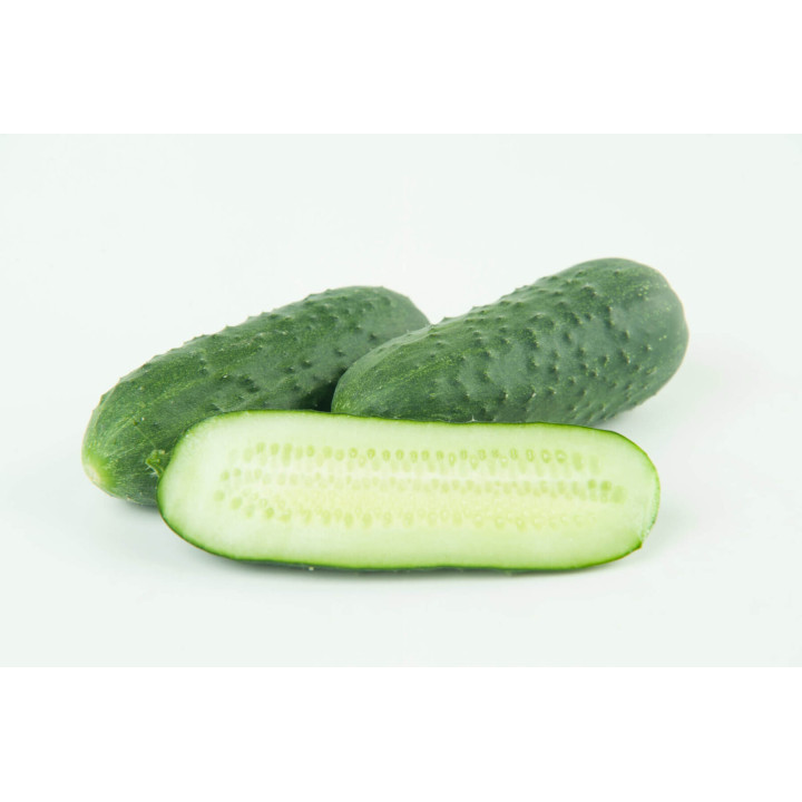 КУБАНЕЦ