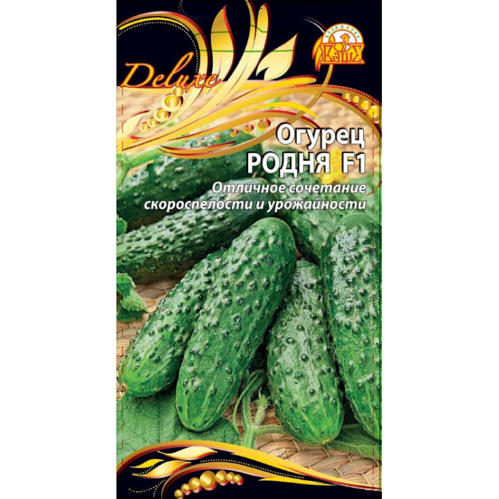 РОДНЯ