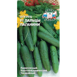 ПАЛЬЦЫ ПАГАНИНИ