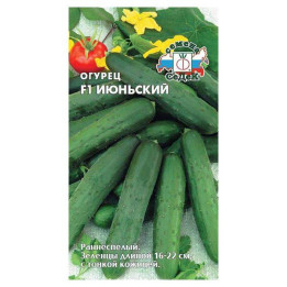ИЮНЬСКИЙ