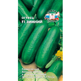 ЗИМНИЙ