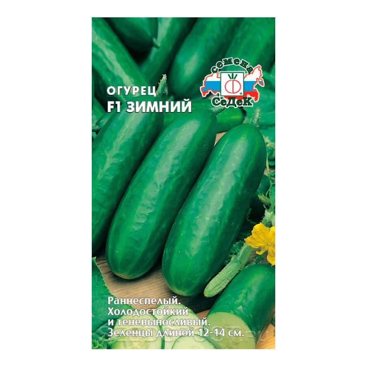 ЗИМНИЙ